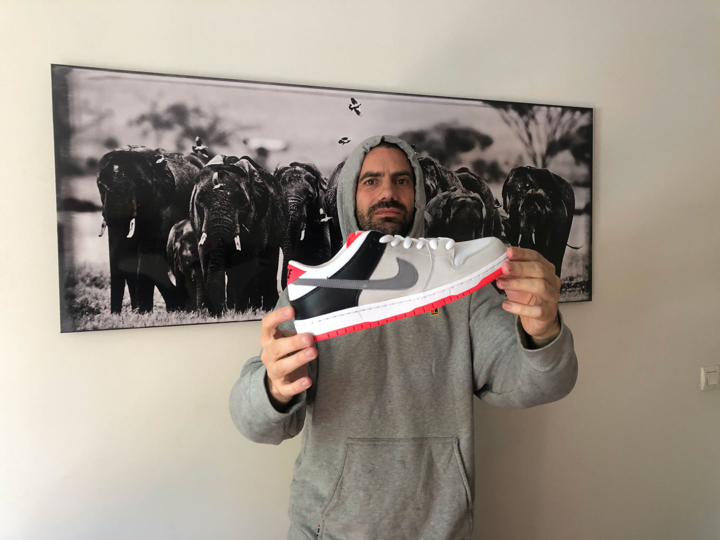 What does nike sb stand for top