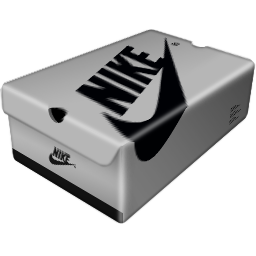 nike sb silver box era