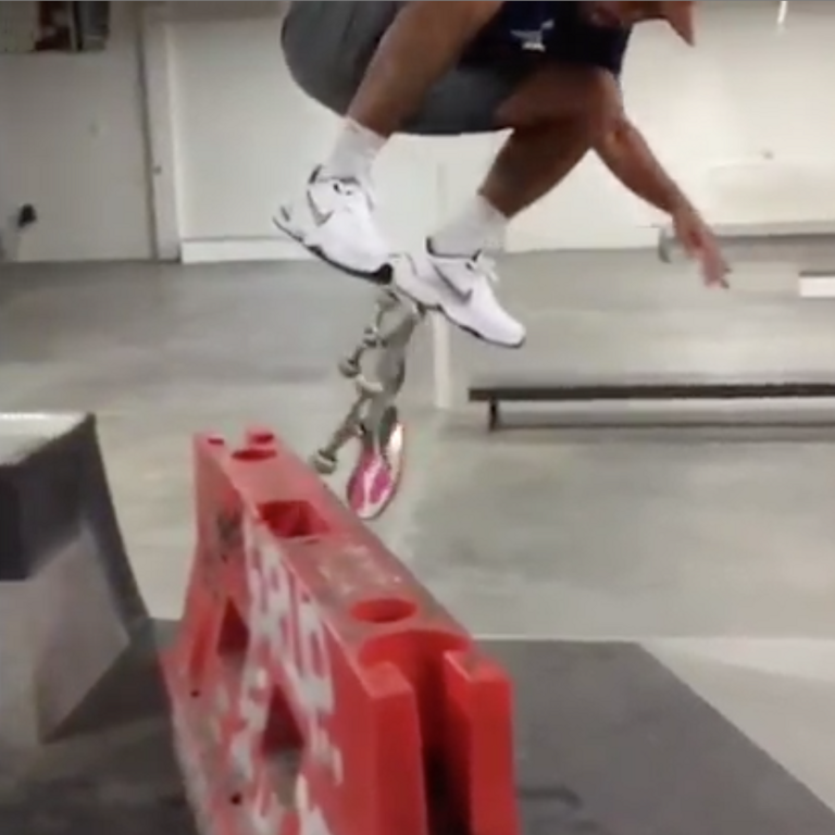 eric koston dunk