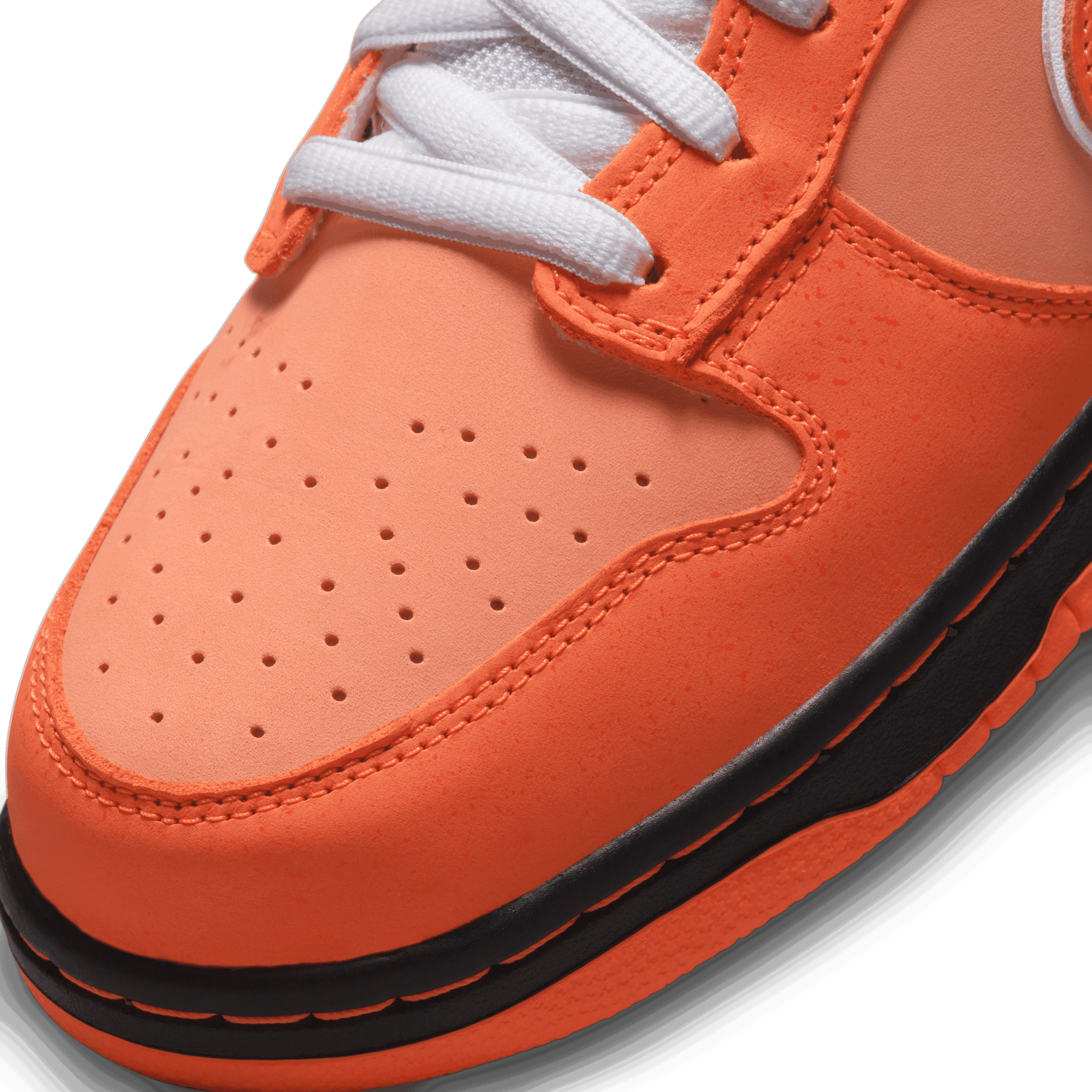 Concepts - Nike Skateboarding