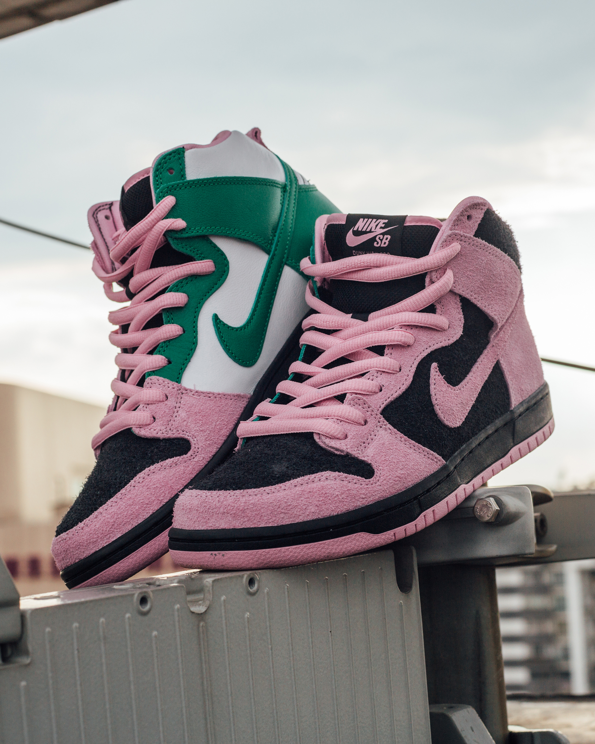 Inverted Dunk High - Nike Skateboarding